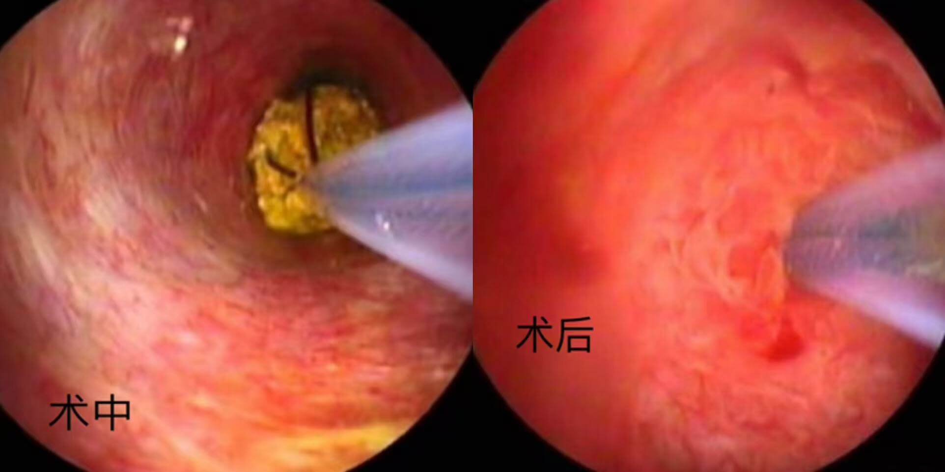 241c88467b78ef868a0a1d4d7cc6a672