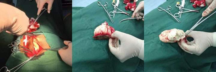 1dd76b6988301e0b2e012b33471082d3